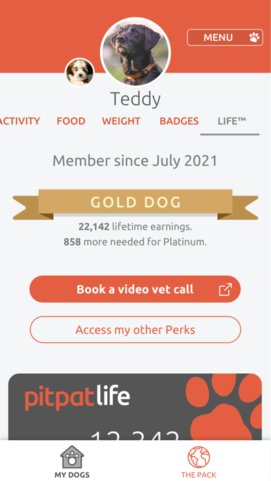 PitPat Screenshot