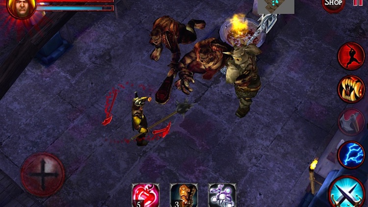 Demons & Dungeons - Action RPG screenshot-4