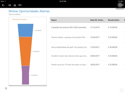 Microsoft Dynamics 365 for BlackBerry screenshot 2