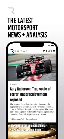 Game screenshot The Race - F1 and much more mod apk
