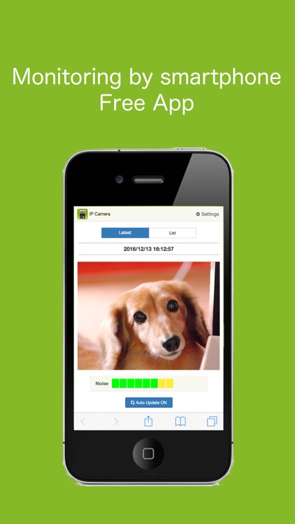 IP Camera - Surveillance cam