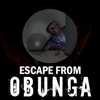 Obunga Nextbot Backroom icon