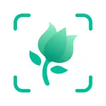 PictureThis - Plant Identifier App Positive Reviews