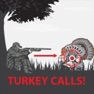 Get Turkey Calls App for Hunting for iOS, iPhone, iPad Aso Report