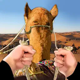 Drive Camel Simulator app icon