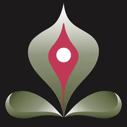 Yoga for Daily Fitness Workout Читы