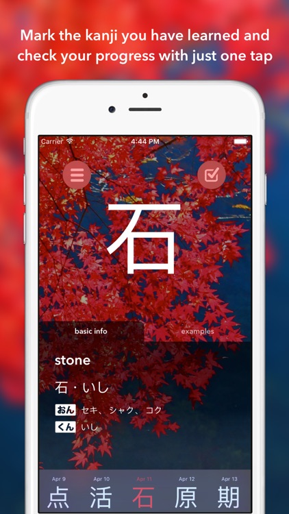 Daily Kanji screenshot-4