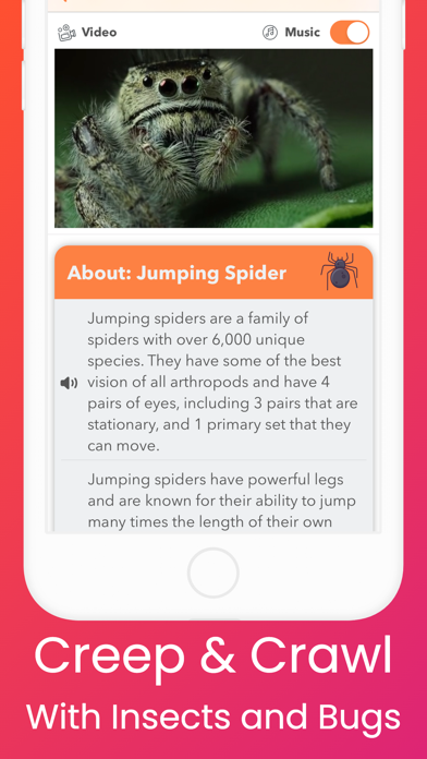 YipYap - Animal Discovery Screenshot