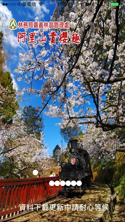 阿里山賞櫻趣