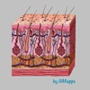 Dermatology (AIMapps) icon