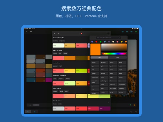 ColorDesk-取色与配色卡のおすすめ画像10
