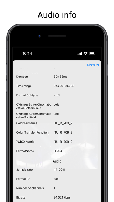 Video Info Checker Screenshot