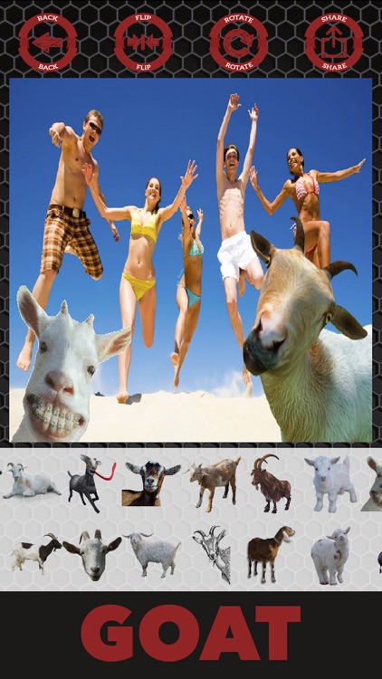 Goat stickers - photo editor goat stickers