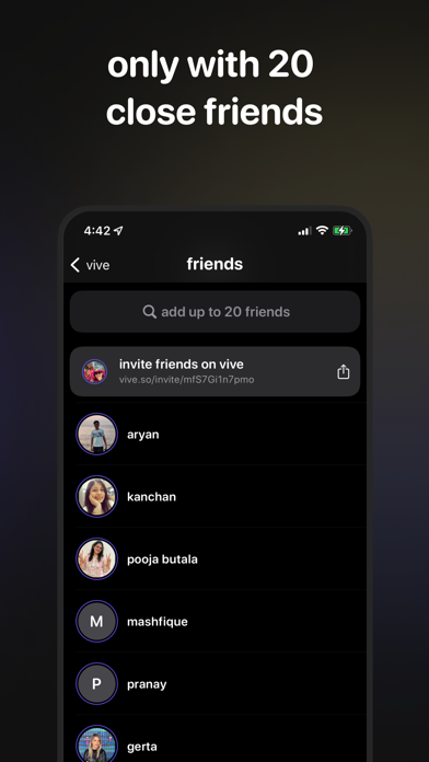 Vive Widget Screenshot