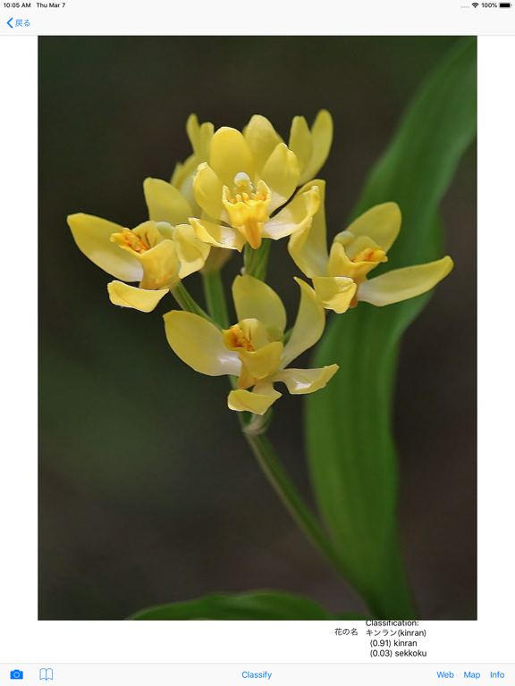Screenshot #5 pour MtTakaoFlower
