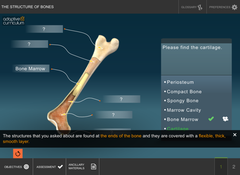 The Structure and Functions of Bones screenshot 2