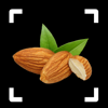 Nut Identifier: Seed ID - Ivan Frolov