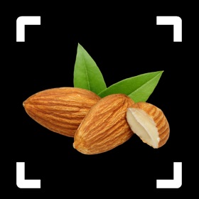 螢幕擷取畫面 (3) Nut Identifier: Seed ID