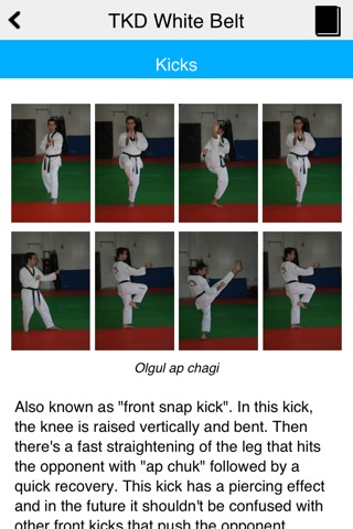 The Taekwondo White Beltのおすすめ画像2