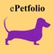 A dog needs exercise and stimulation