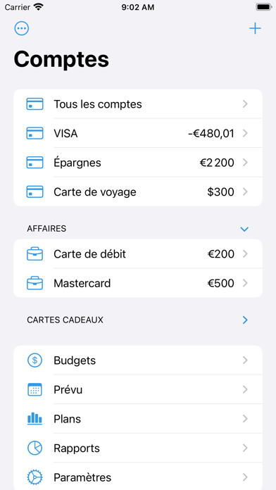 Screenshot #1 pour Debit & Credit