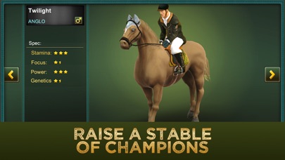 Jumping Horses Champions 2 Screenshot