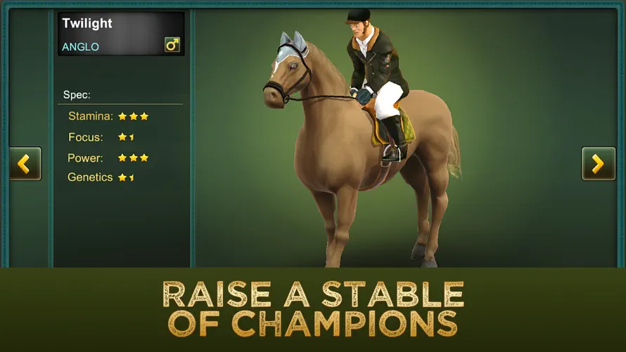 Jumping Horses Champions 2 screenshot 3