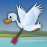 Get Duck Bow Hunt for iOS, iPhone, iPad Aso Report