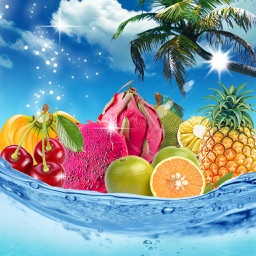 海南热带水果商城