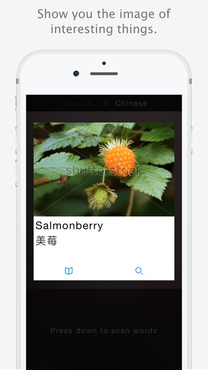Insta Translate - Realtime translation via camera
