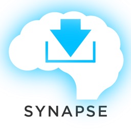 Idioms/Word Choice Synapse