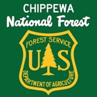 Chippewa National Forest