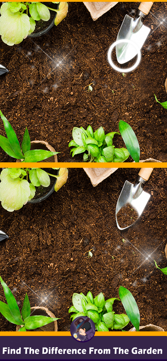 New Find The Difference 2021