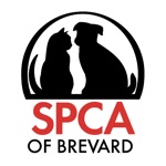 NBSPCA