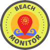 Oleksandr Pasha - Beach Monitor アートワーク