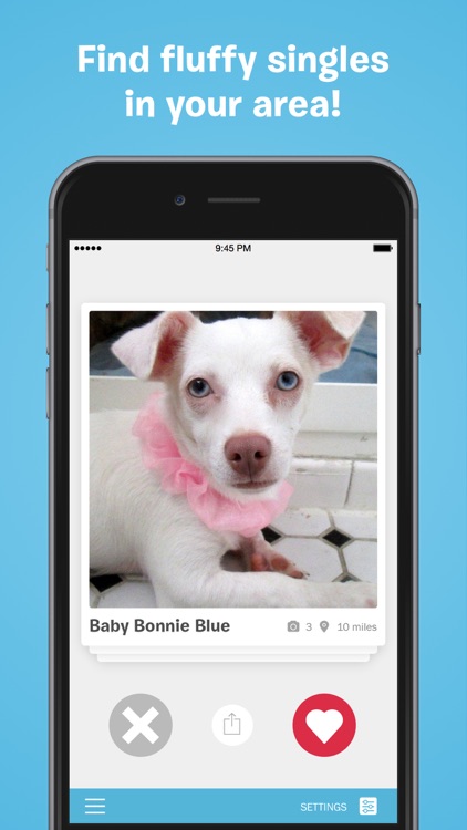 BarkBuddy - Adopt a Dog Near You