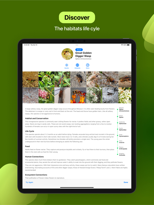 Bug Identifier Screenshot