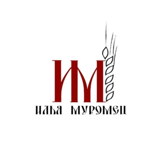 Илья Муромец icon