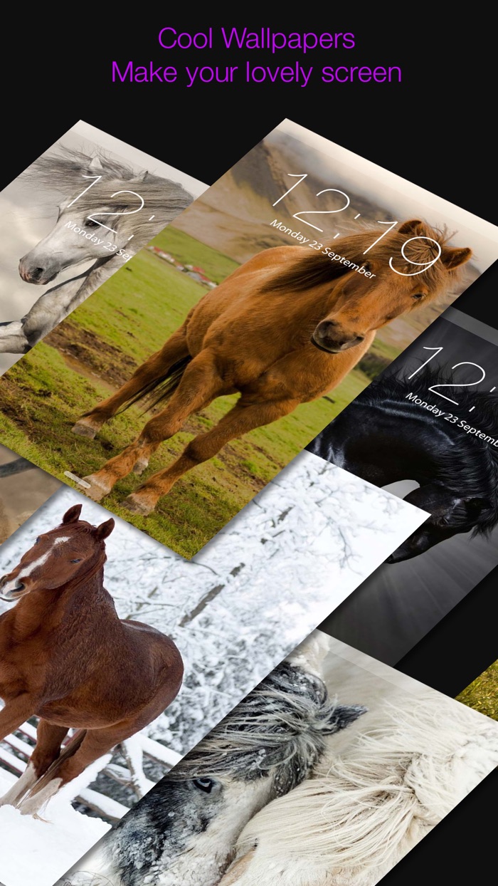 Horse Wallpapers  Backgrounds Lock Screen Theme