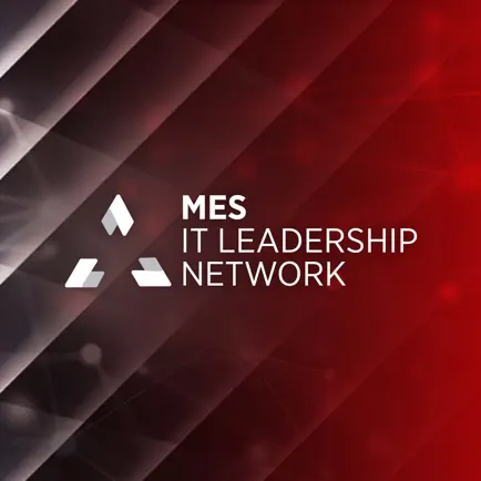 MES Network Читы