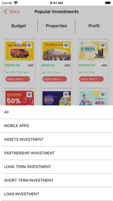 DIZINVEST Screenshot