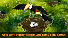 Game screenshot Toucan Simulator 3D: Bird Life hack