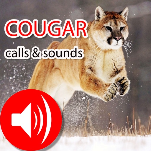 Cougar Hunting Calls & Sounds icon