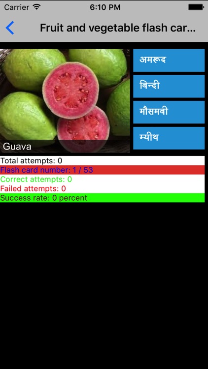 Learn Kashmiri screenshot-4