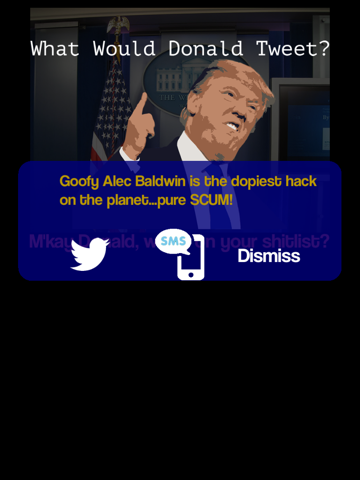 WWDT - What would Donald Tweet? screenshot 2