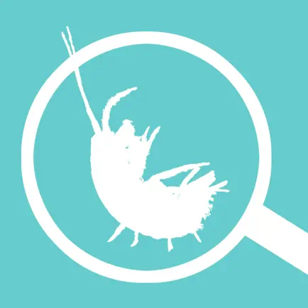 The Waterbug App Cheats