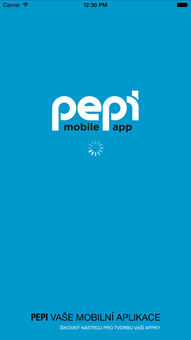 PEPI Tester Screenshot