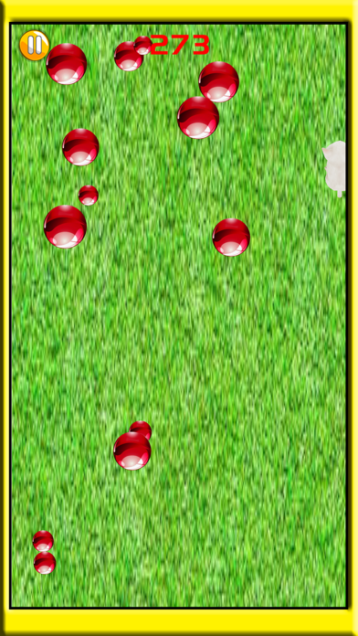 Cute Kitty Run Simulator – Pet Cat Game 2017 iPhone screenshot
