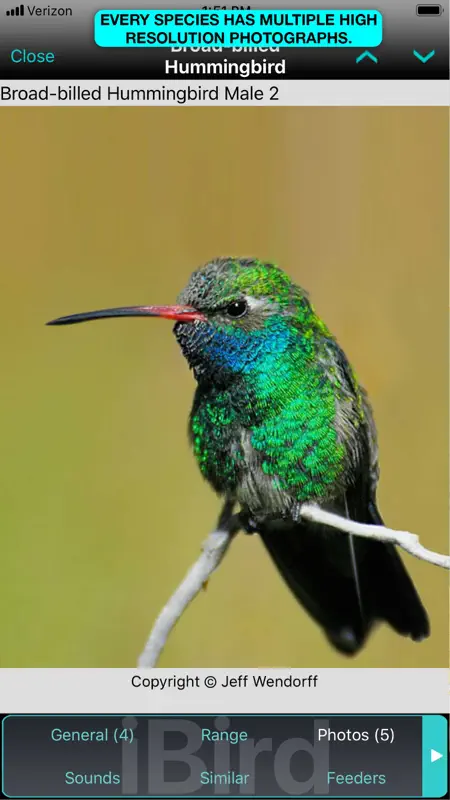 iBird Pro Guide to Birds screenshot 7 of 10