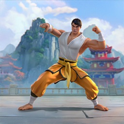 Kung Fu Street Fighting Games